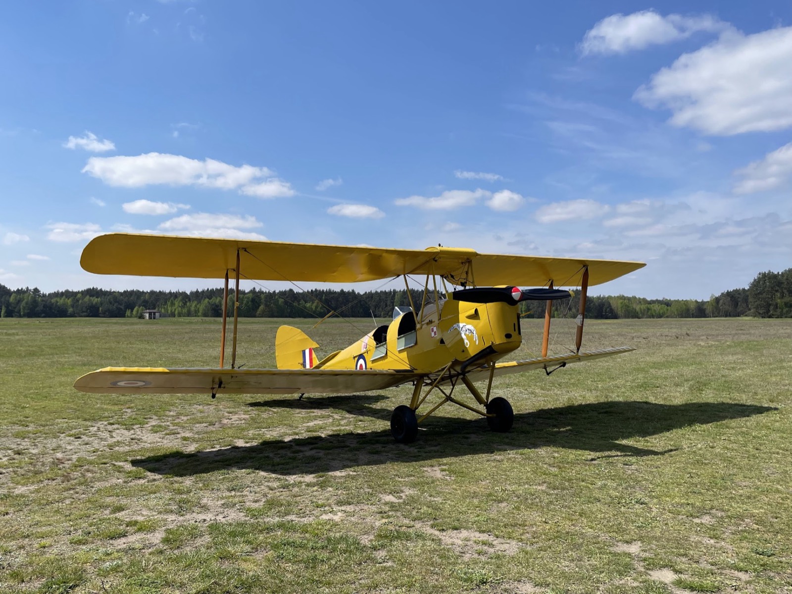 Tiger Moth T-7230