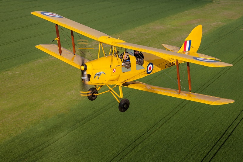 Tiger Moth T-7230 SP-YAA